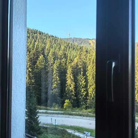Тайната Квартира - The Secret Apartment Pamporovo Buitenkant foto